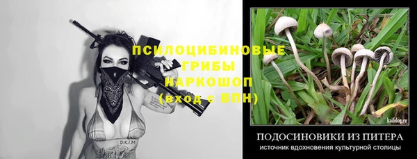 ПСИЛОЦИБИНОВЫЕ ГРИБЫ Валуйки