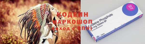 мдпв Осинники