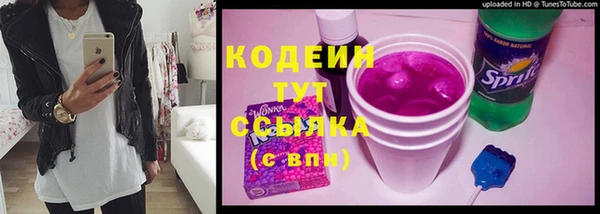 apvp Осташков