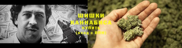 мдпв Осинники