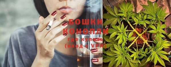 мдпв Осинники