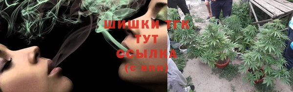 мдпв Осинники