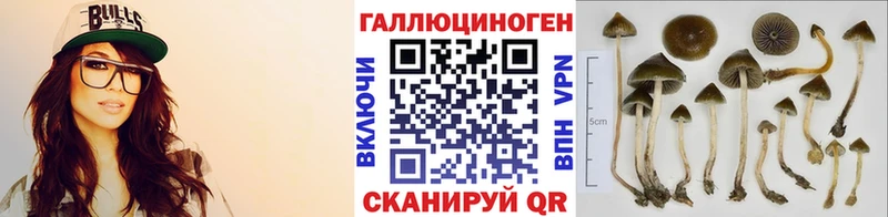 Галлюциногенные грибы Psilocybine cubensis  даркнет сайт  Аргун 