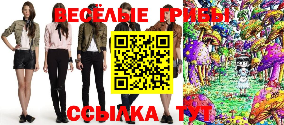 Псилоцибиновые грибы Cubensis Аргун