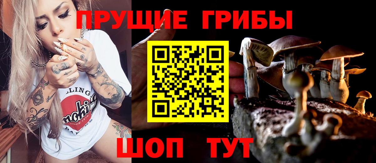 Псилоцибиновые грибы прущие грибы Аргун